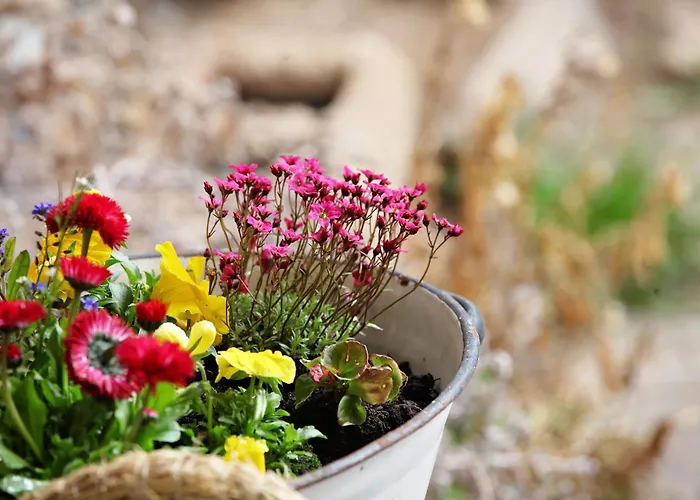 Kuznia Nad Bobrem- Dom Na Wylacznosc Сasa de vacaciones